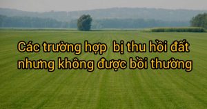 Cac-truong-hop-bi-thu-hoi-dat-nhung-khong-duoc-boi-thuong-1