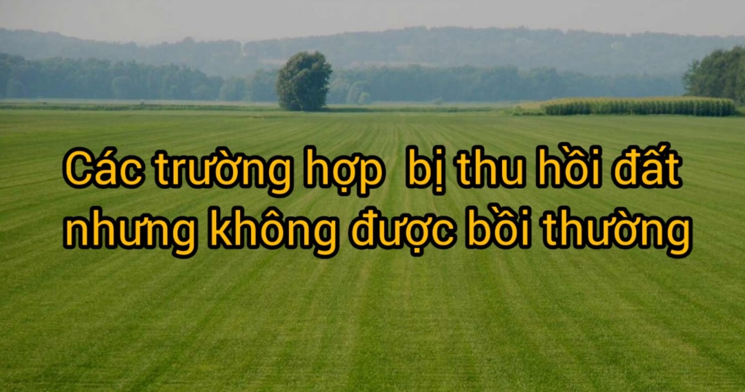 cac truong hop bi thu hoi dat nhung khong duoc boi thuong 1 - Có nên đầu tư căn hộ Sun Ponte Residence Đà Nẵng