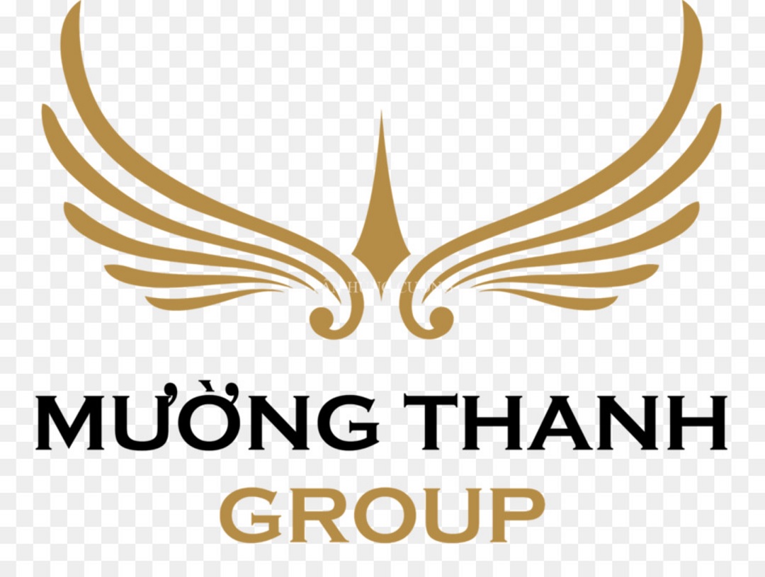 Muong-thanh-1