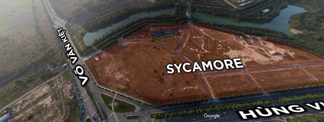 Sycamore 21 - Sycamore