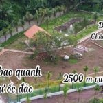 ban dat binh ba chau duc 4 150x150 - Bảng Giá Chủ Đầu Tư